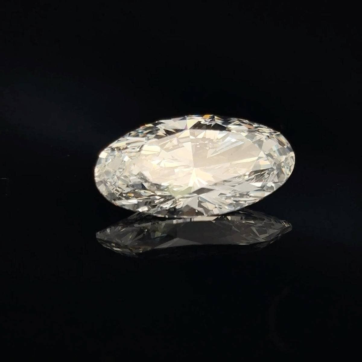 LOS-00655