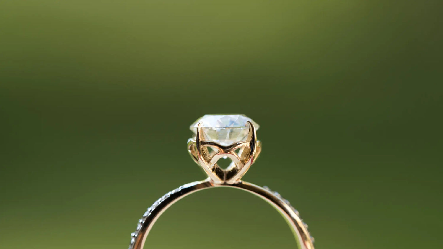 Gold ring with a lab grown diamond on a green background